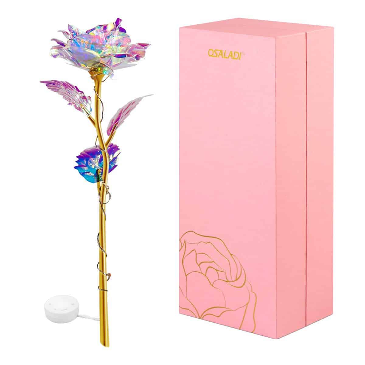 OSALADI colorida rosa luminosa artificial luz LED Regalos Día de la Madre Acción de Gracias Día de San Valentín niñas fiesta de cumpleaños, el mejor regalo para esposa chica amigo