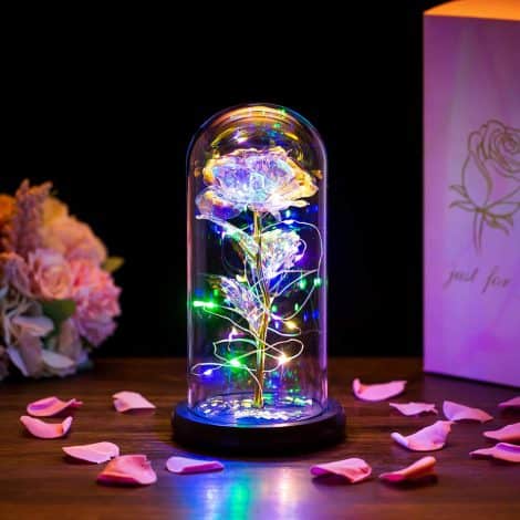 Luces LED en Rosa de Cristal Glasseam Belleza y la Bestia: un regalo romántico para cualquier ocasión.