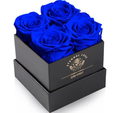 Rosa eterna Impouo, Ideal para regalo a mujeres en cumpleaños, Navidad, San Valentín.