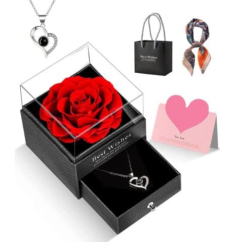 Rosa eterna preservada con collar, regalo original para mujer, madre, novia, hermana, abuela. Caja de regalo (Rojo).