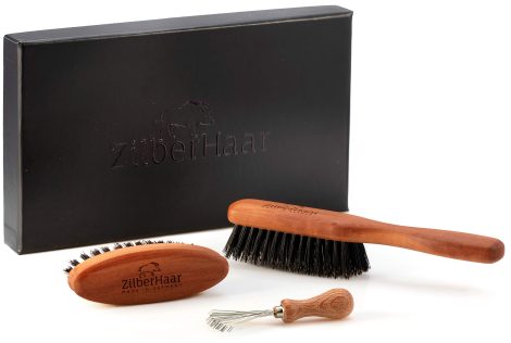 ZilberHaar – Kit de cuidado de la barba – 1 cepillo de barba + 1 cepillo portátil + 1 herramienta de limpieza – Cerdas de jabalí auténticas – Set regalo hombre, Cuidado Facial.